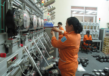 Điện lực Tuyên Quang phấn đấu đáp ứng yêu cầu của sản xuất kinh doanh và phục vụ đời sống nhân dân